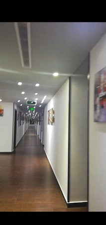 Rosalina Hotel主图