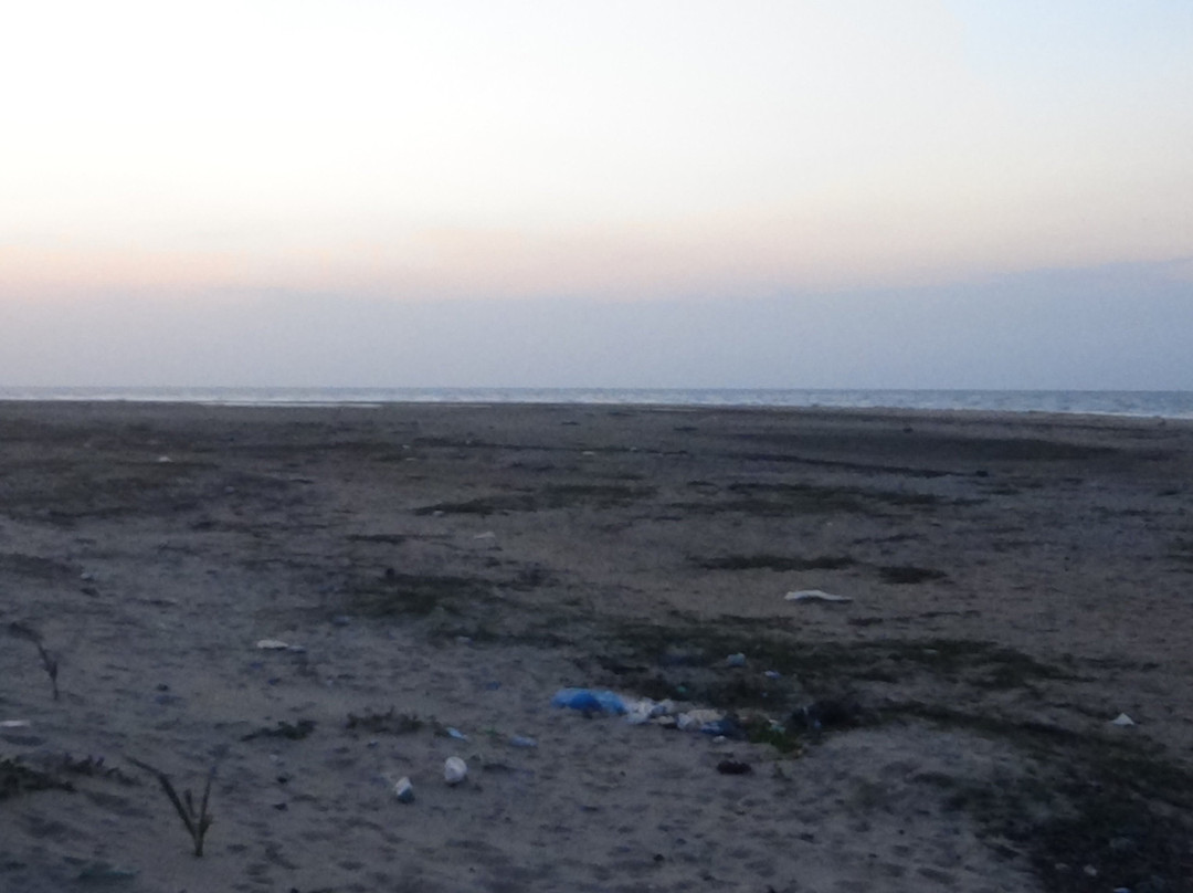 Talaimannar Beach  Gardens-Talaimannar必去景点