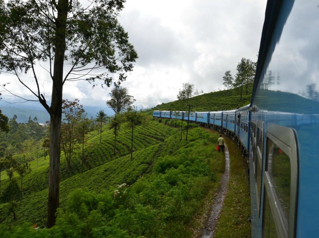 My Driver in Sri Lanka - Day Tours景点图片