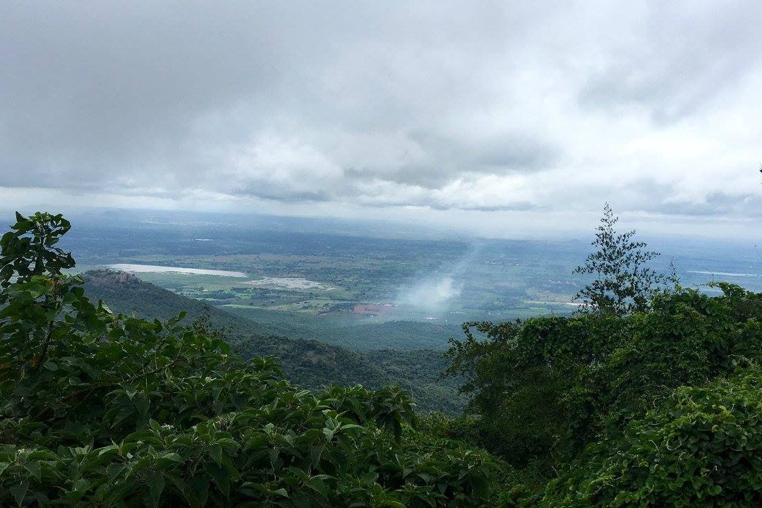 Biligiriranga Hills旅游攻略图片
