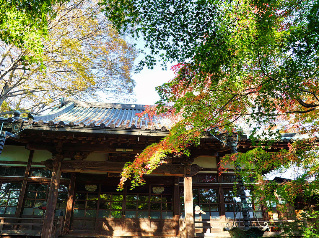Saisho-ji Temple景点图片