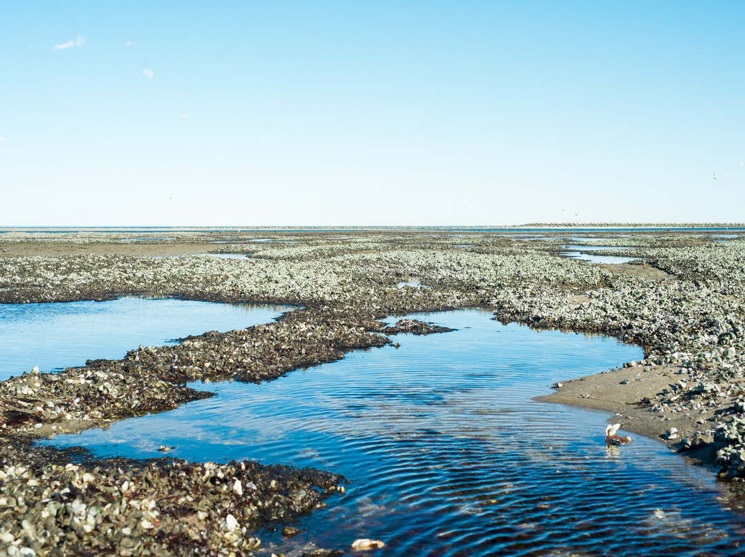 Stratford旅游攻略图片