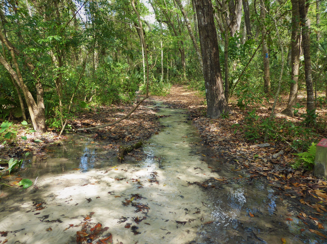 Eustis旅游攻略图片