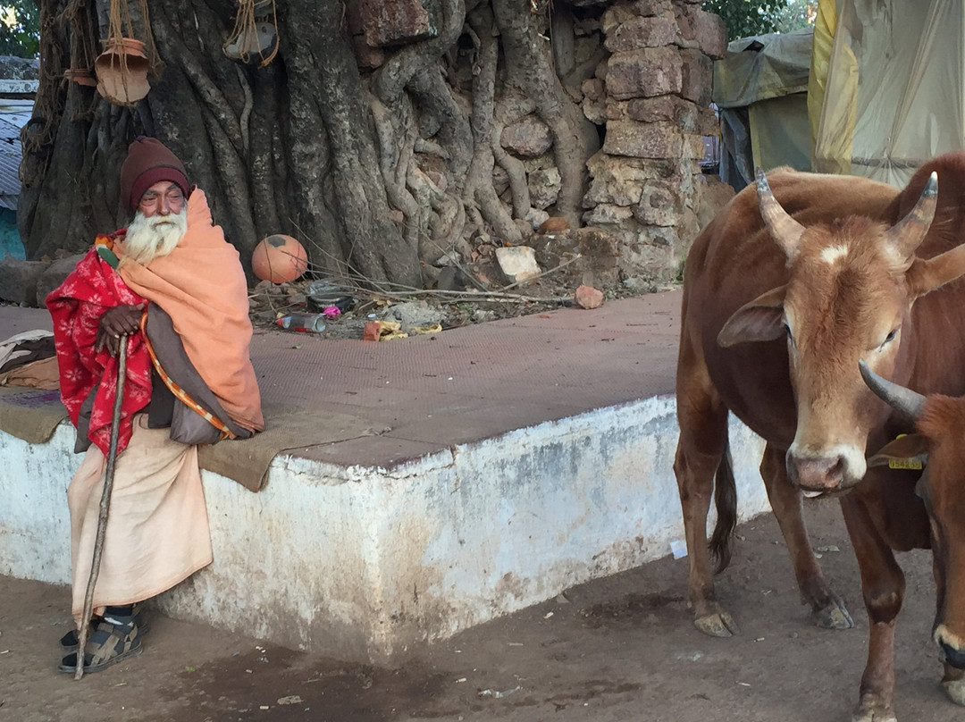 Yvignac-la-Tour旅游攻略图片