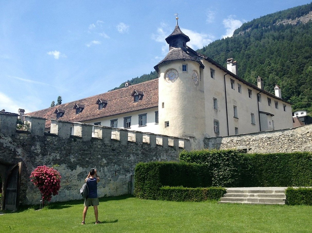 Castle Haldenstein景点图片