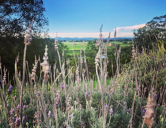 Mansfield on the Manning主图