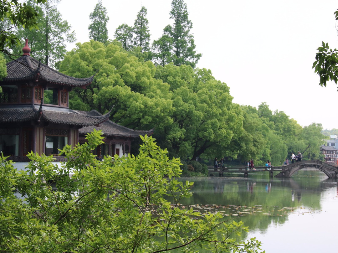 曲院风荷景点图片