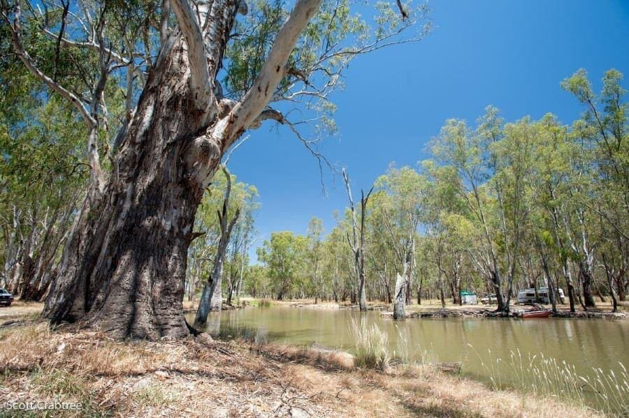 Lower Ovens Wildlife Reserve