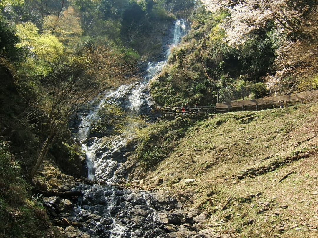 Asahi Falls-伊豆市必去景点