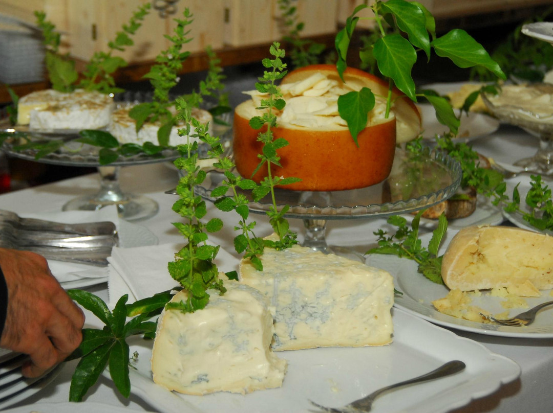 Monte Porzio Catone餐馆和美食-Cantine Santa Benedetta