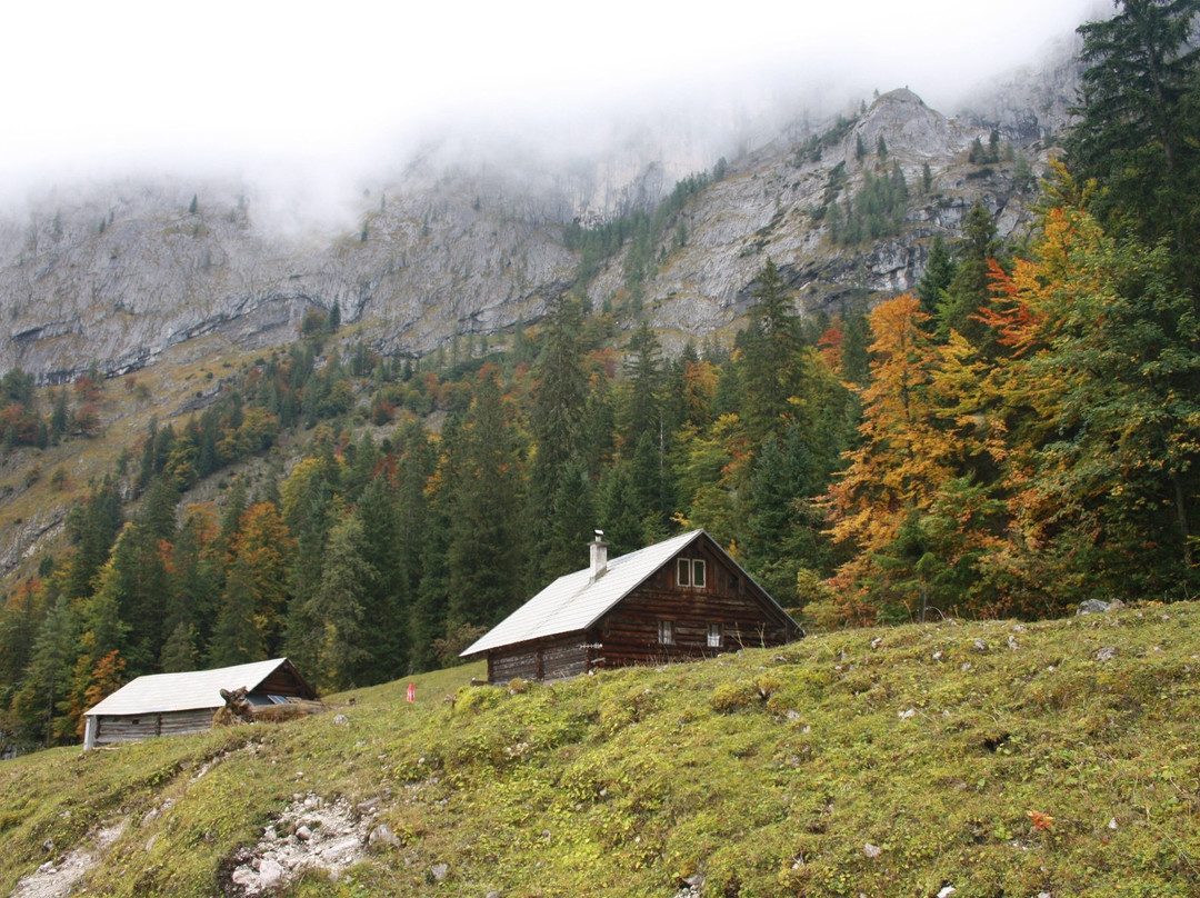 戈绍餐馆和美食-Hohe Holzmeisteralm