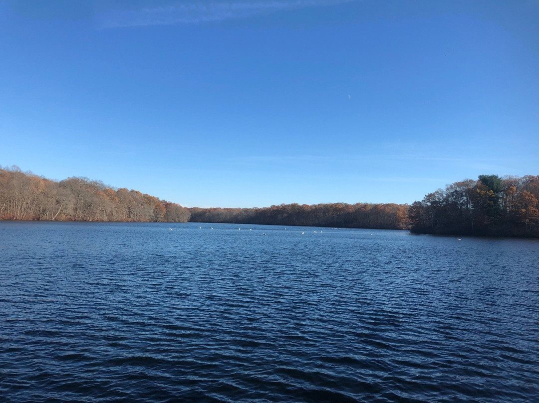 Blydenburgh County Park