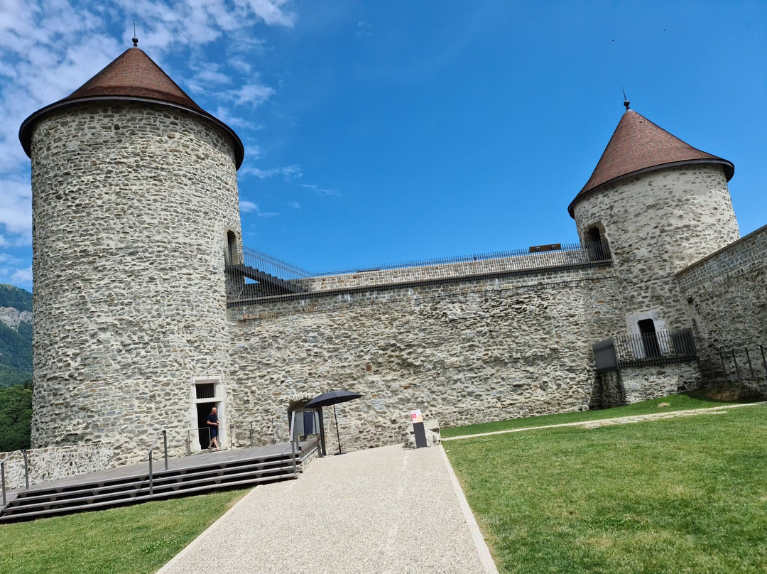 Château des Sires de Faucigny景点图片