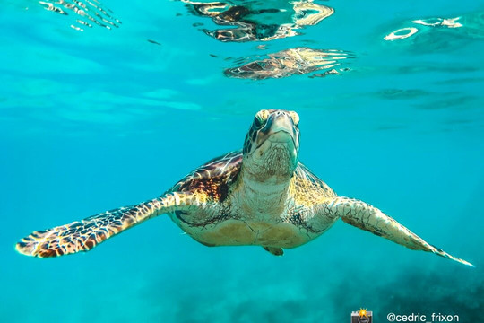 LATIN TOURS INC-马丘比丘必去景点