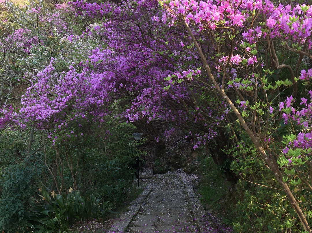 Jindoji Temple-木津川市必去景点