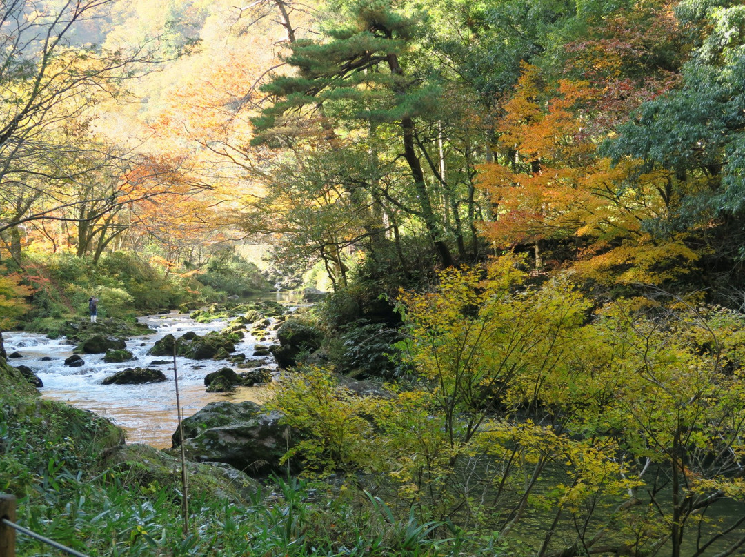 小松市旅游攻略图片