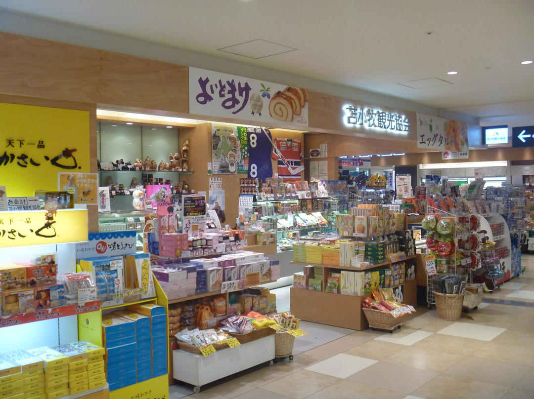 Tomakomai Kanko Kyokai Hokkaido Showroom-千岁市必去景点