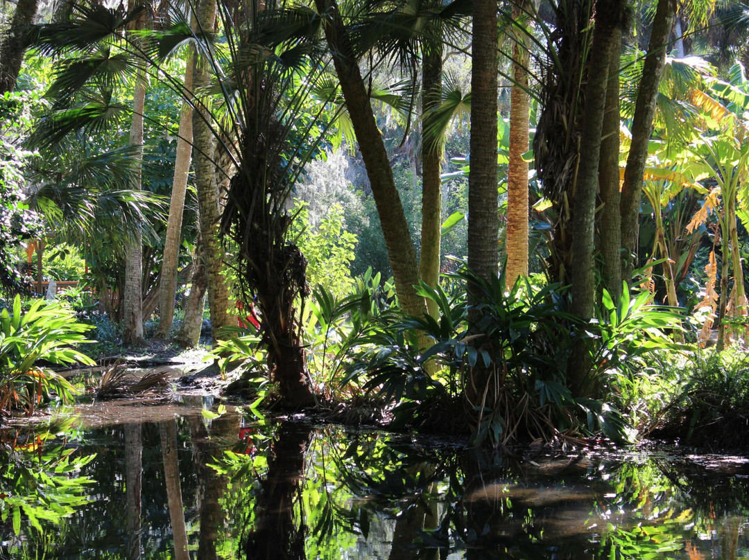 棕榈海岸旅游景点-Washington Oaks Gardens State Park