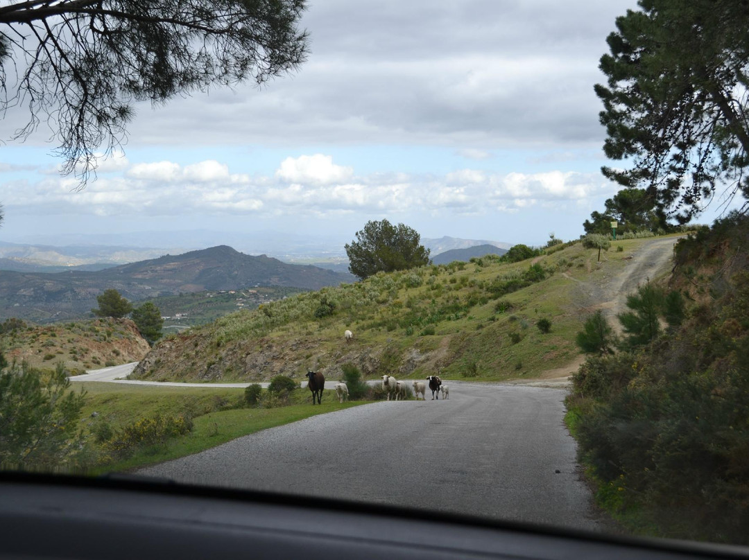 Aventurate Sierra de las Nieves景点图片