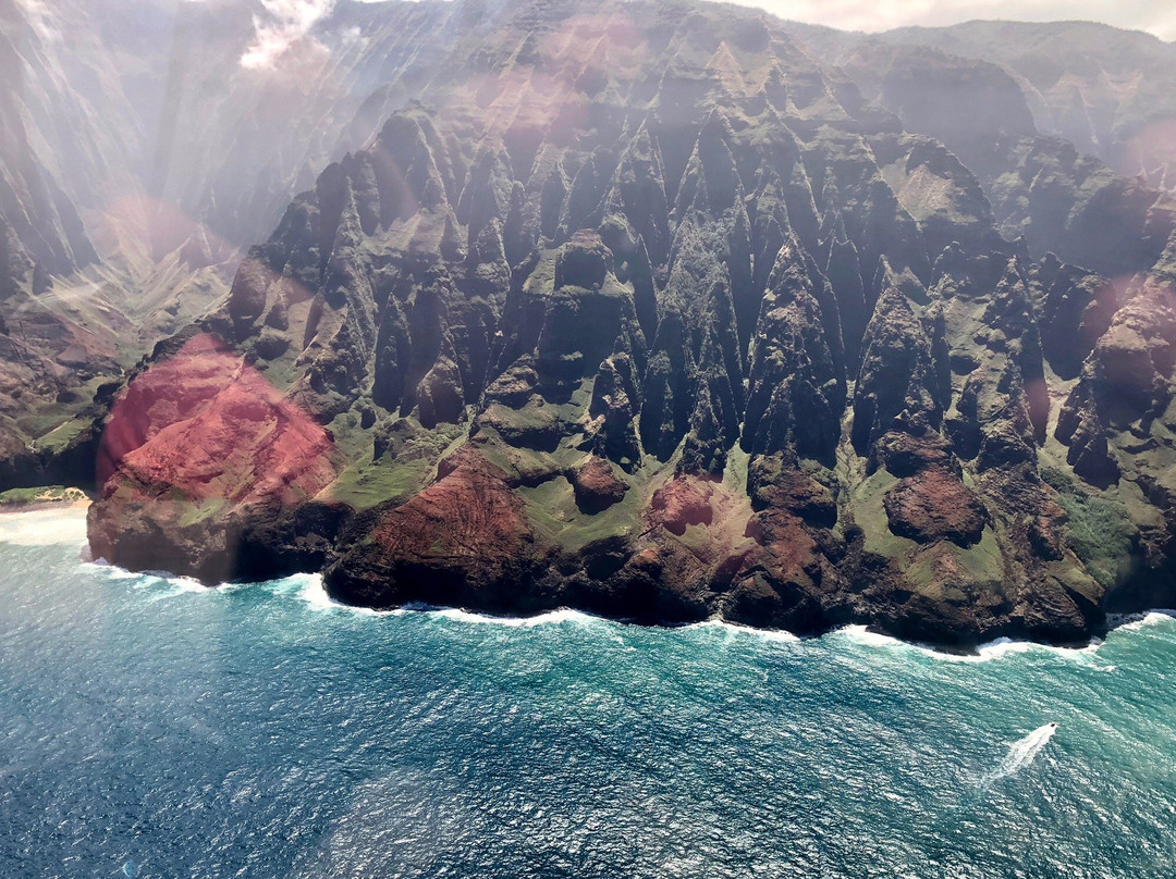 Kauai Forest to Function