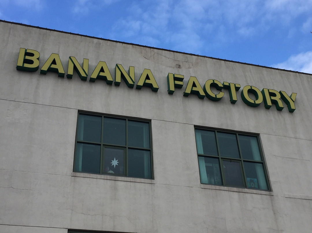 The Banana Factory景点图片