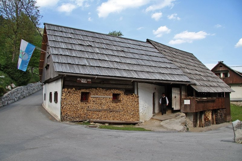 Bohinjska Cesnjica旅游攻略图片