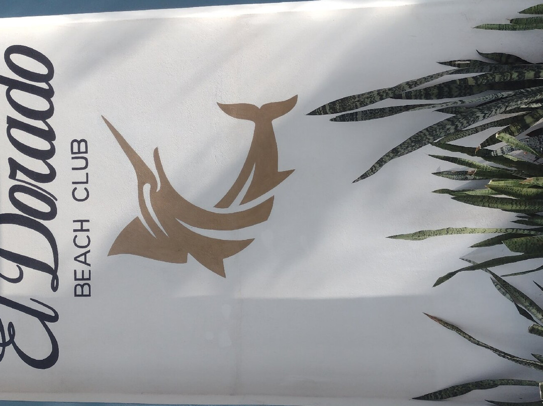 米却肯餐馆和美食-El Dorado Beach Club