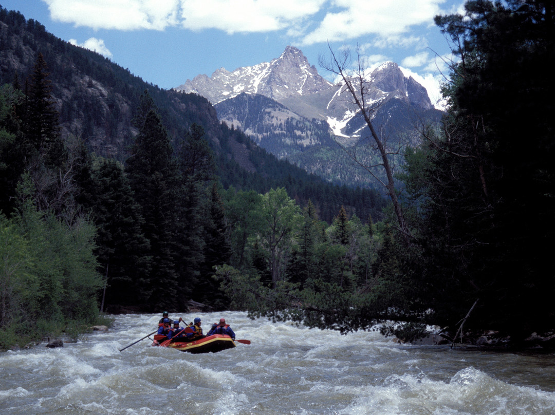 Mild to Wild Rafting and Jeep Tours景点图片