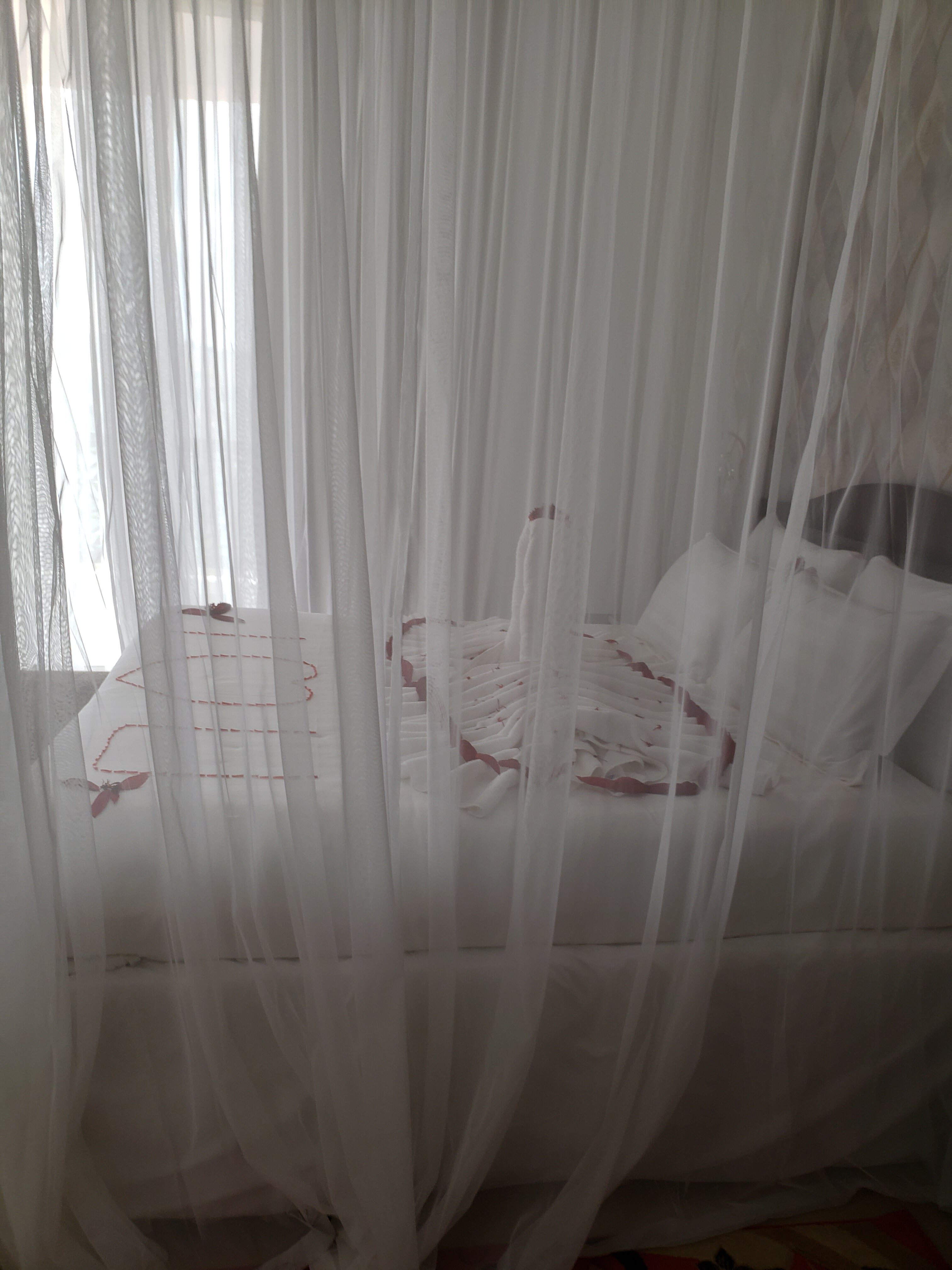 The Voice Hotel-官方