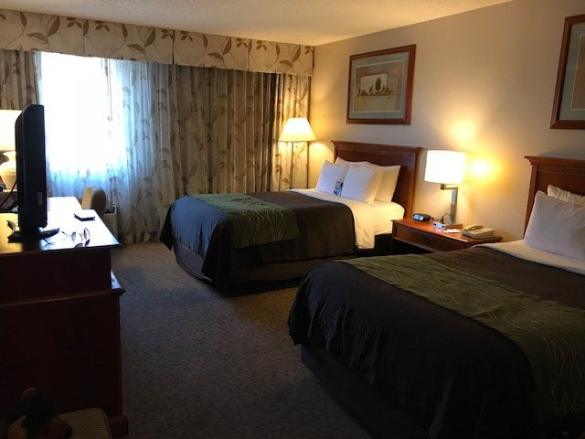 Comfort Inn at Buffalo Bill Village Resort主图