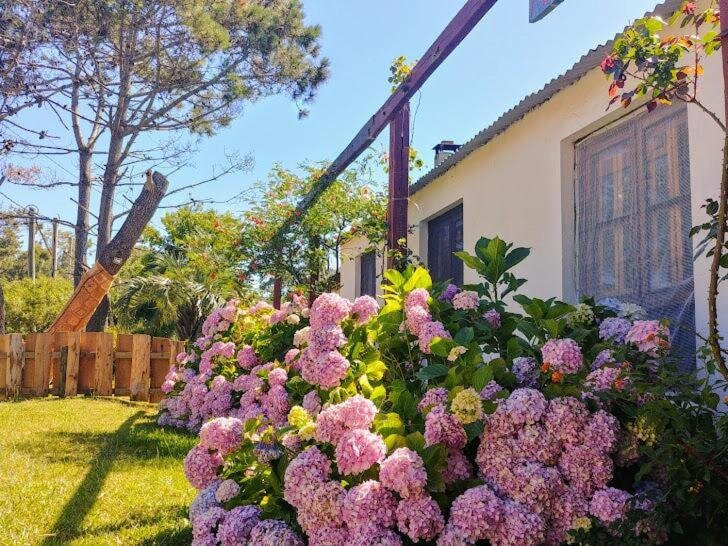 Casa Buganvilla