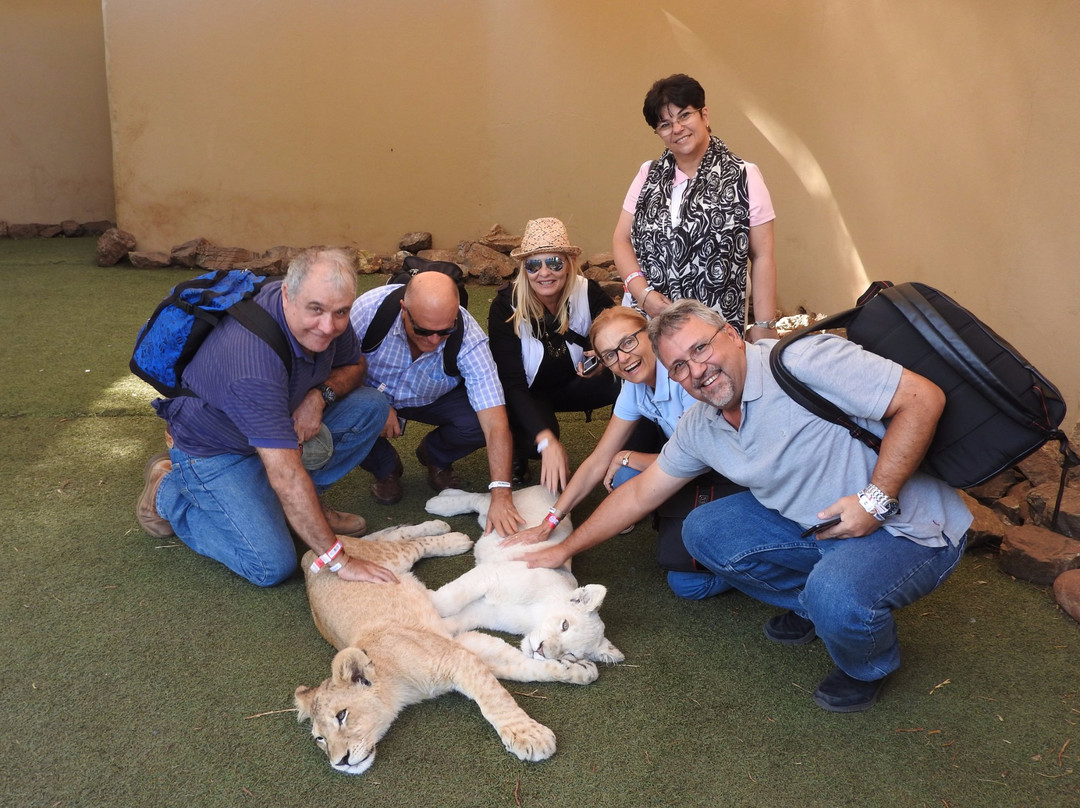 Dlamini 4 Africa Tours & Safaris-比勒陀利亚必去景点