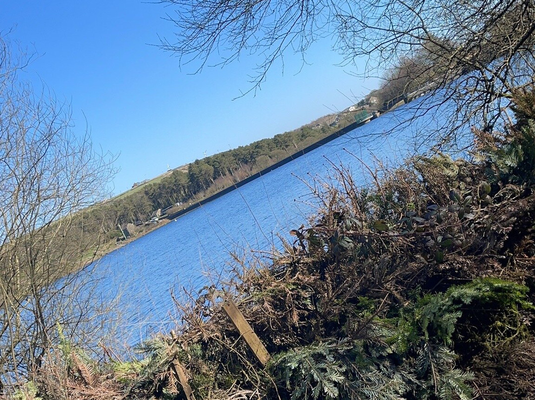 Ogden Water Country Park & Nature Reserve景点图片