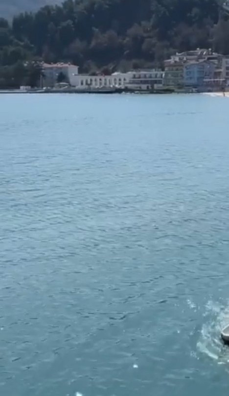Rabbit Island景点图片
