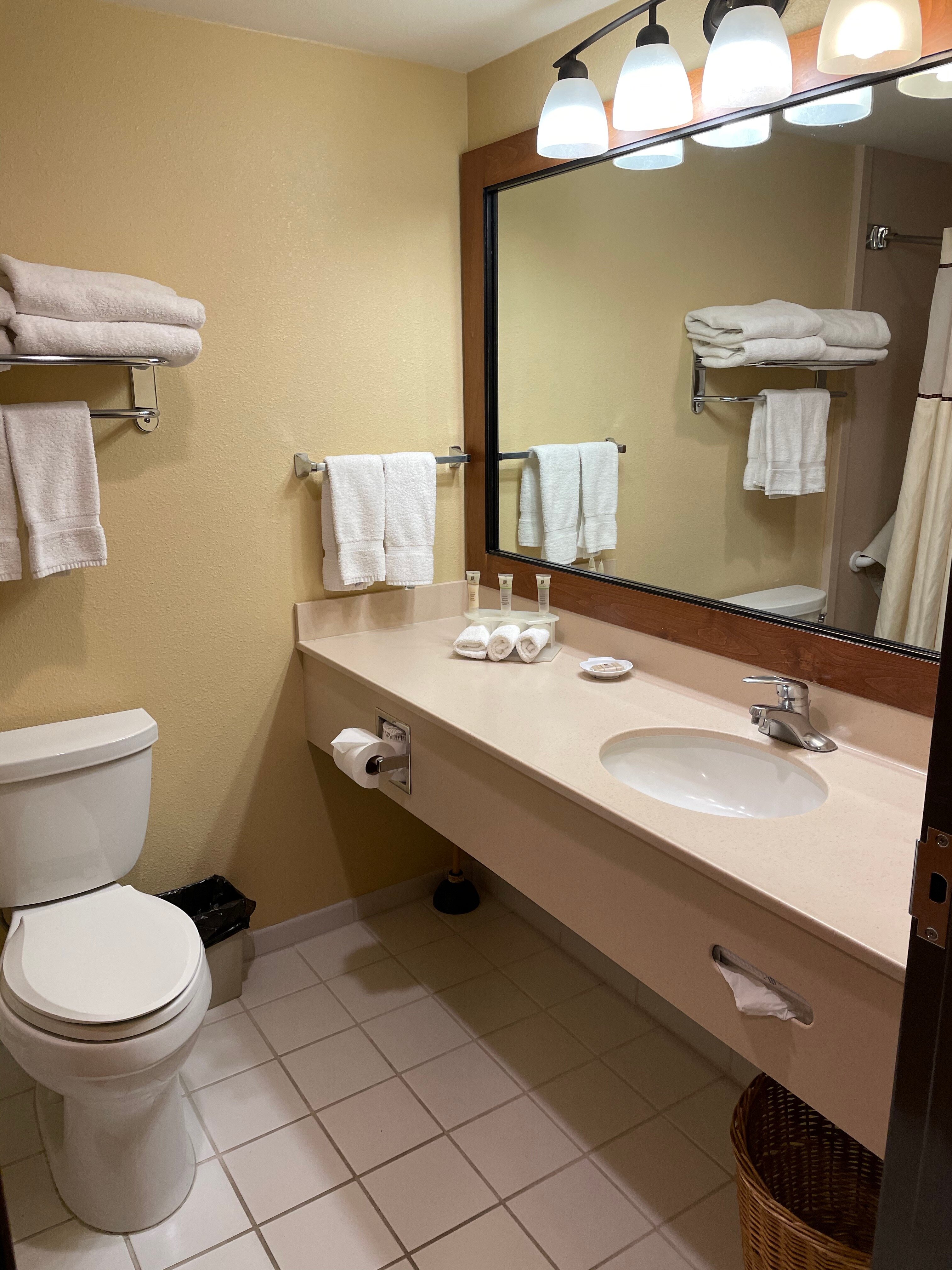 Truckee Donner Lodge-浴室