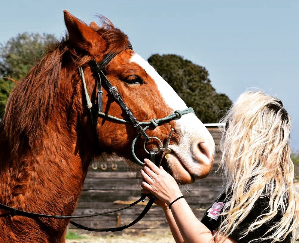 Horseland Kavos-Kavos必去景点