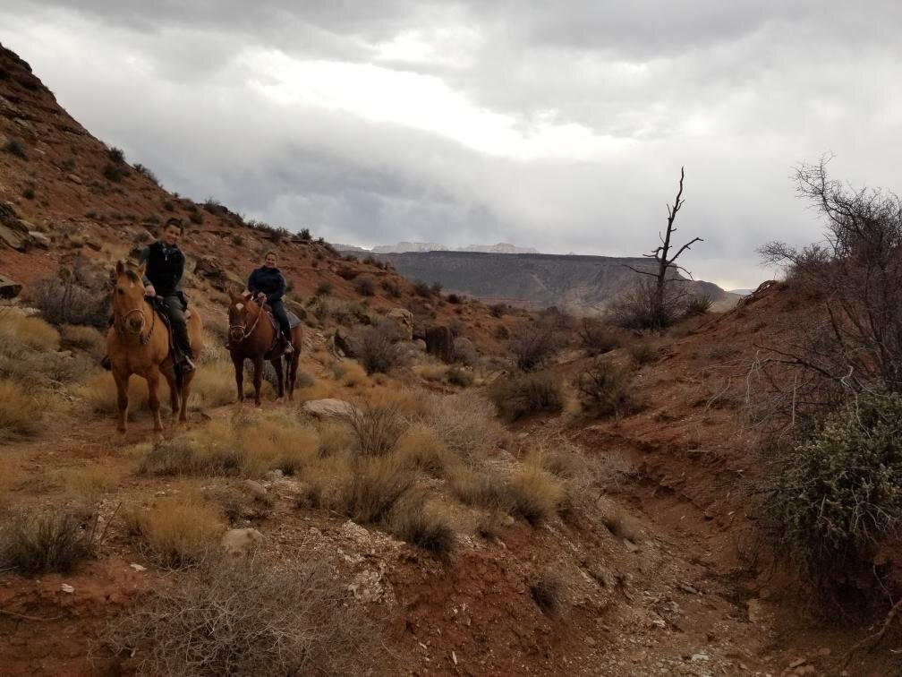 Shelleys Custom Horse Tours-Virgin必去景点