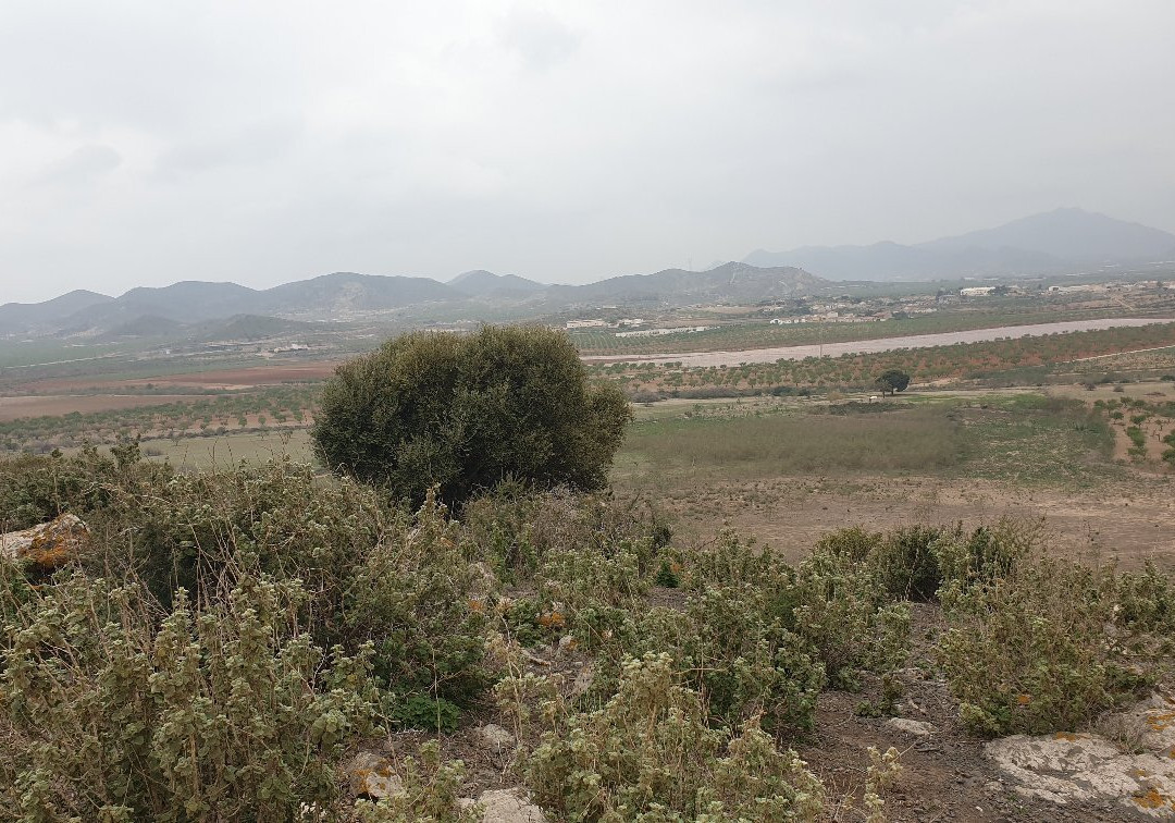 Pico Cebolla景点图片