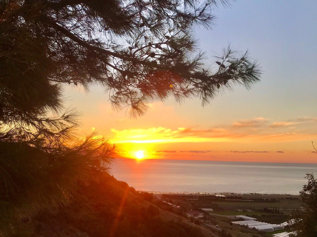 Circle Antalya Tours景点图片