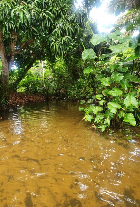 Ruins of the Old Church of Bomsucesso-Lucena必去景点