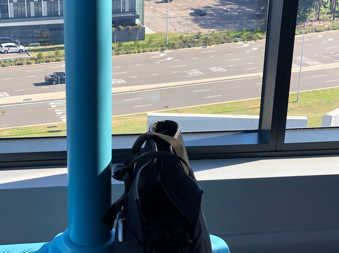 Citadines Connect Sydney Airport主图