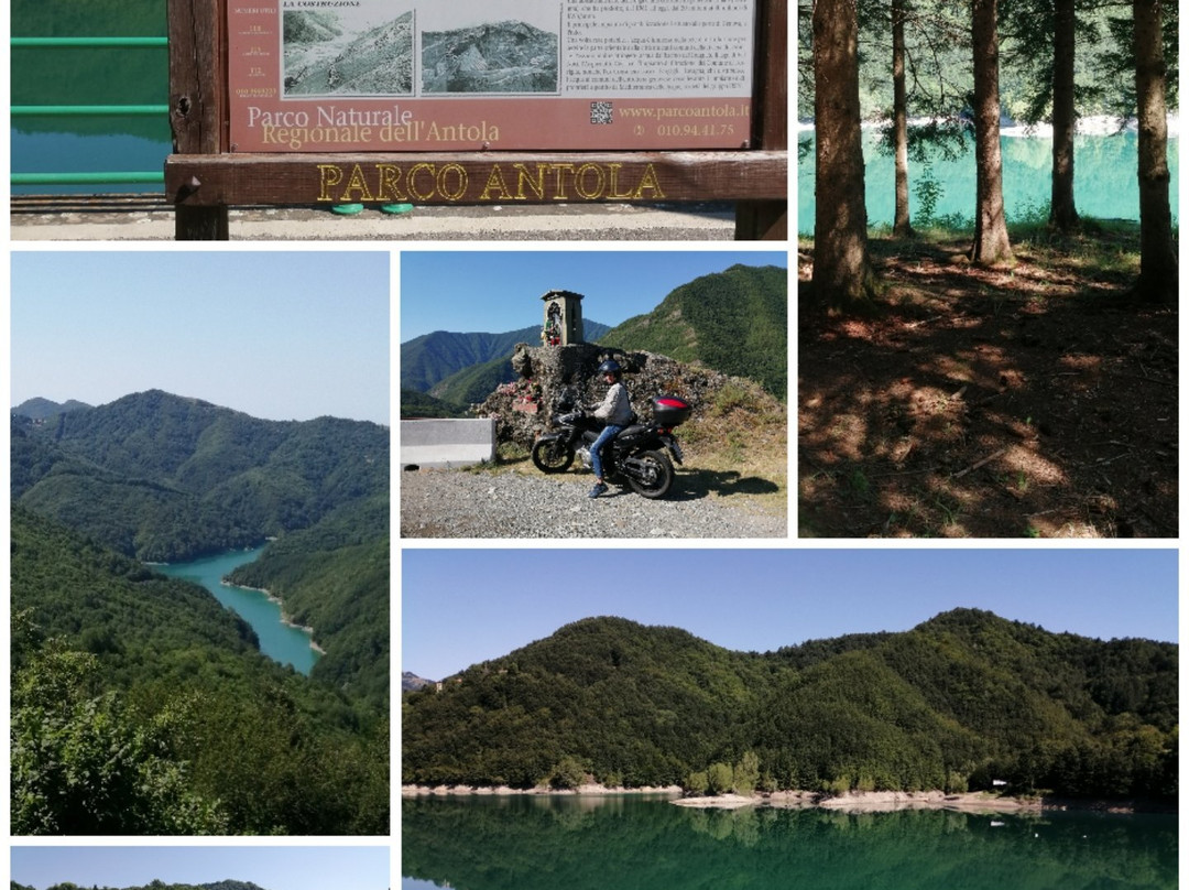 Lago del Brugneto景点图片