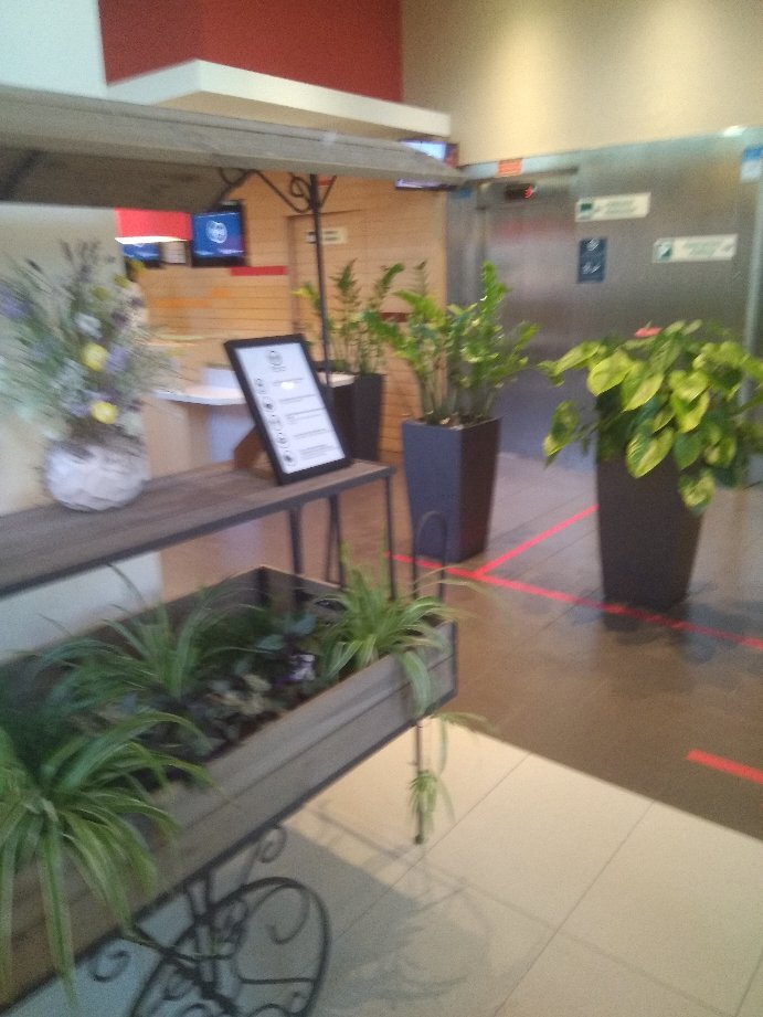 巴塞罗那马塔罗宜必思酒店-官方