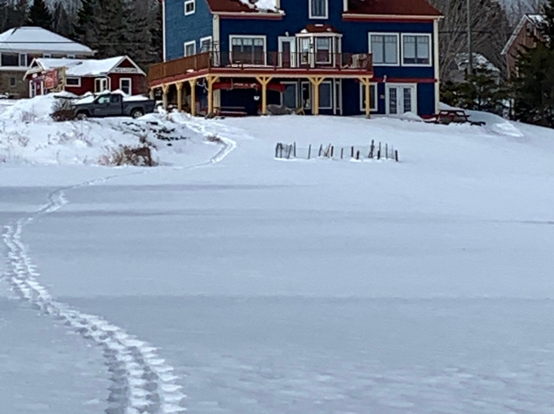 The Artisan Suites主图