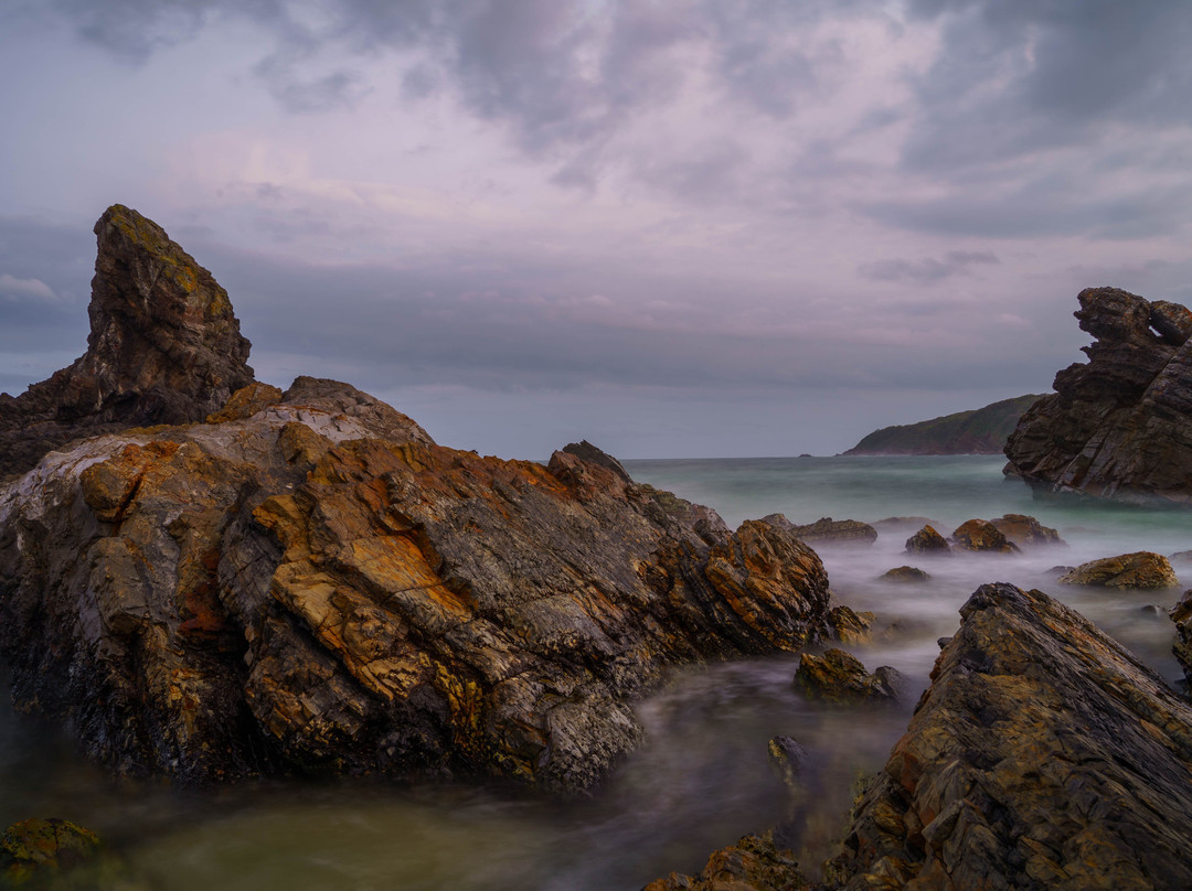 Burgess Beach,  Forster景点图片
