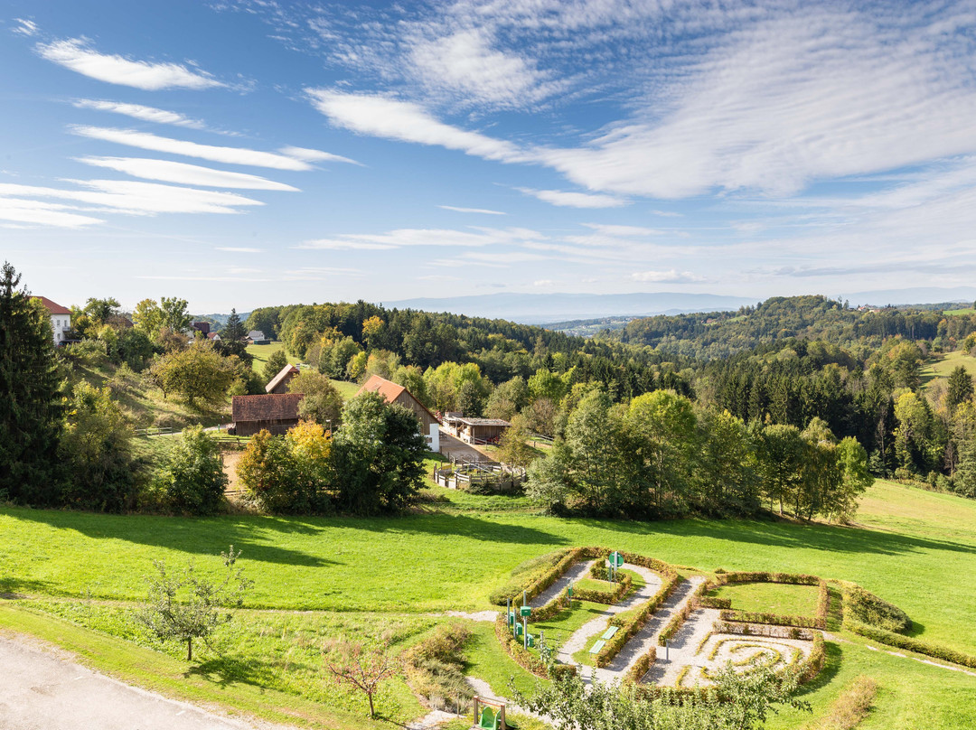 Hotel Liebmann主图