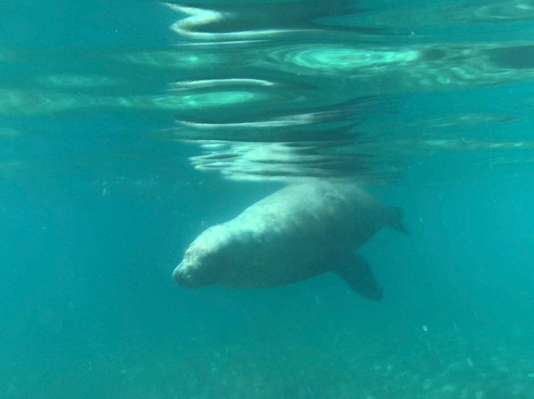 All Sea Charters-巴瑟尔顿必去景点