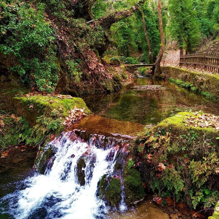 Rema Ton Mylwn-Evrostina必去景点