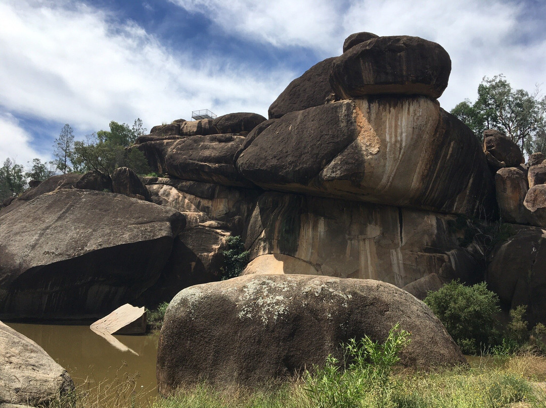 Cranky Rock Nature Reserve景点图片