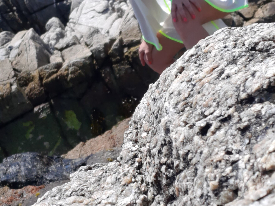 Playa Amarilla-Concon必去景点